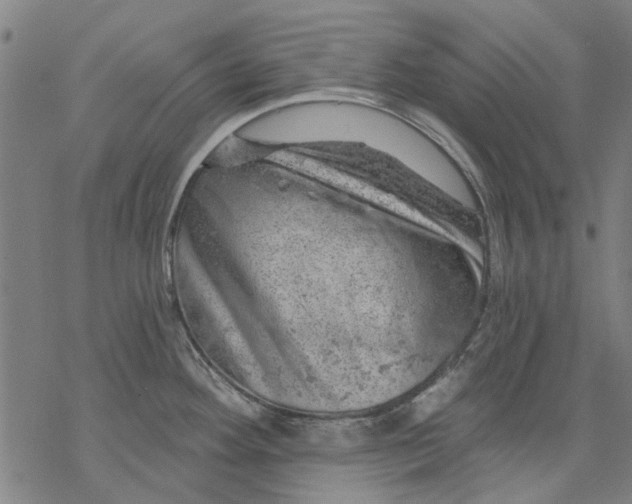 X0000068891292200605261836