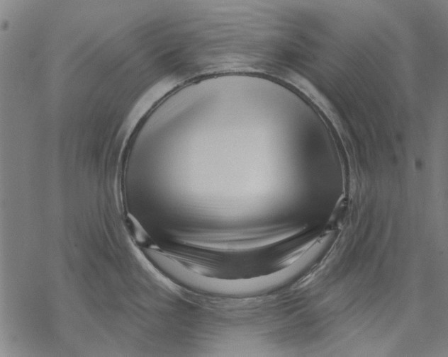 X0000068891293200605261836