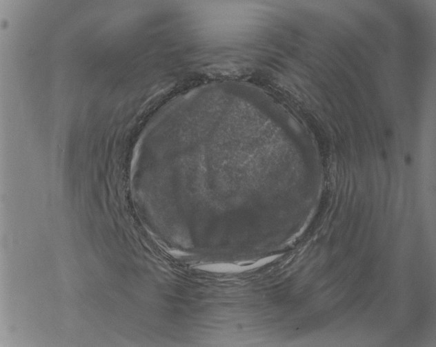 X0000068891297200605261835