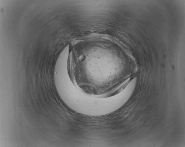 X0000068891298200605261835