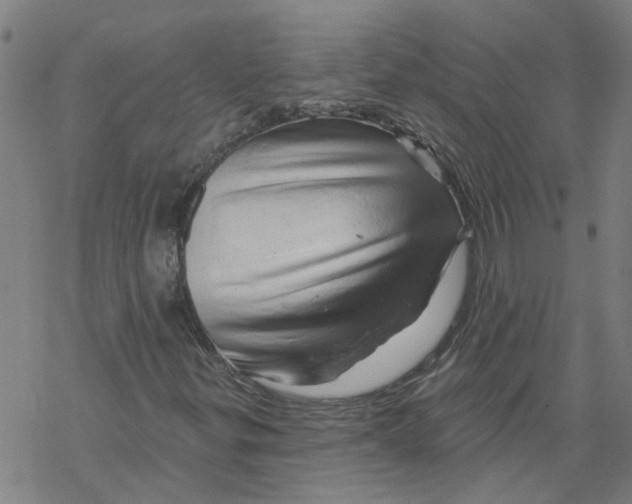 X0000068891299200605261835