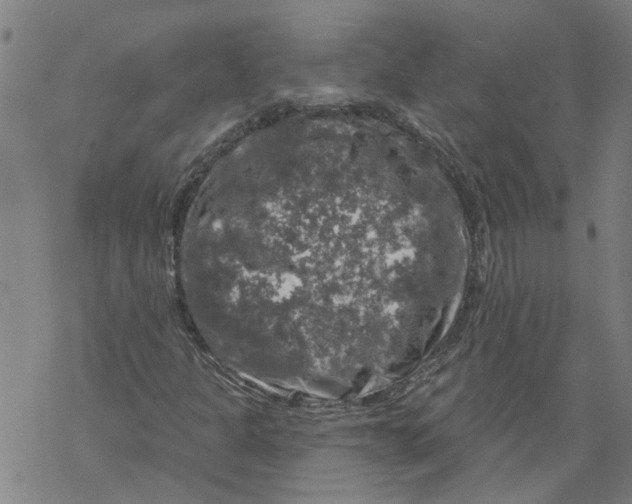 X0000068891301200605261835