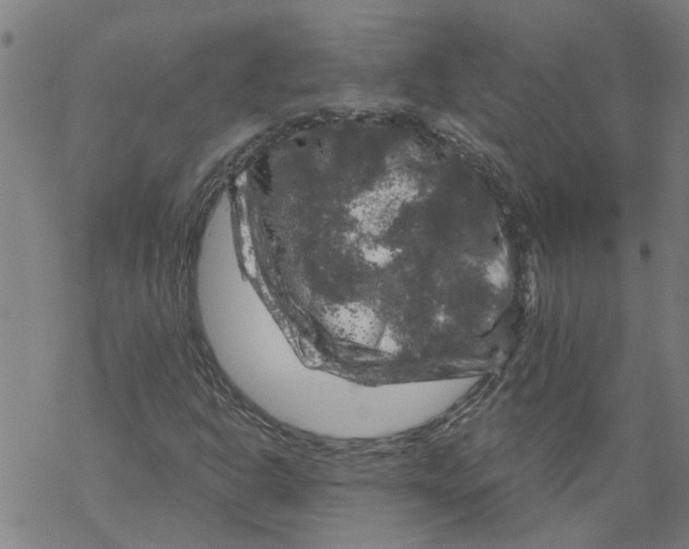 X0000068891302200605261835