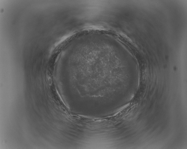 X0000068891303200605261836