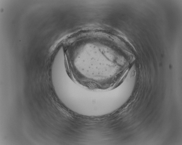 X0000068891304200605261836