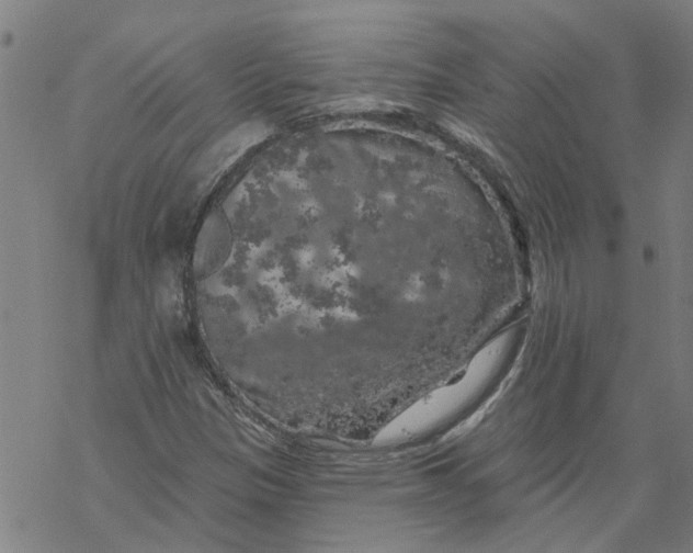 X0000068891305200605261836