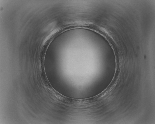 X0000068891307200605261836