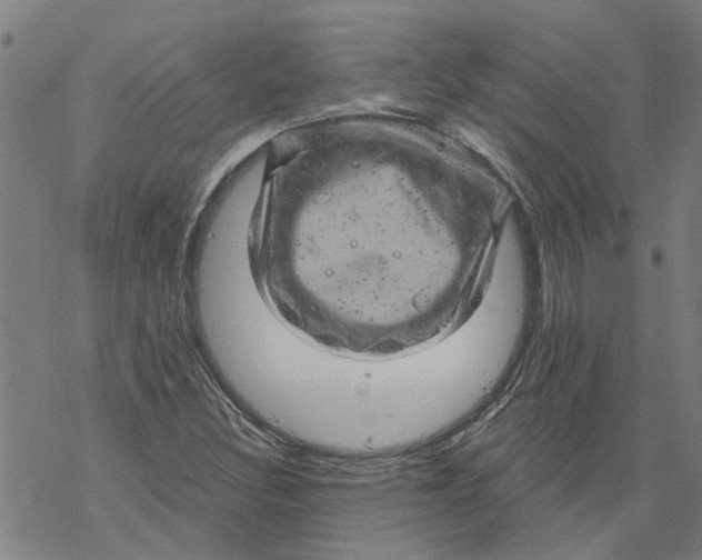 X0000068891308200605261836