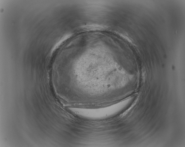 X0000068891309200605261836