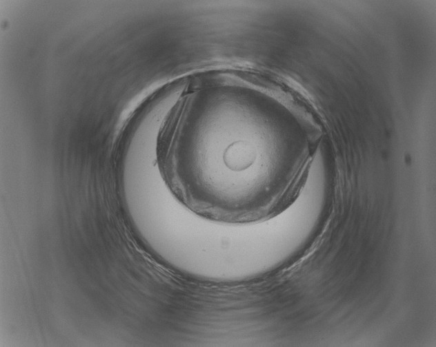 X0000068891310200605261836