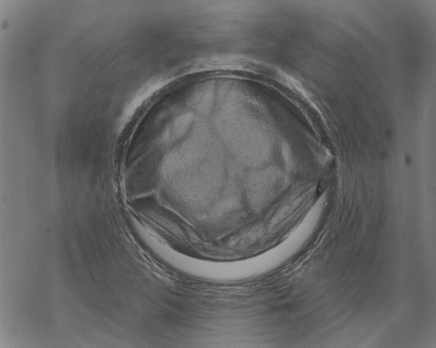 X0000068891312200605261836