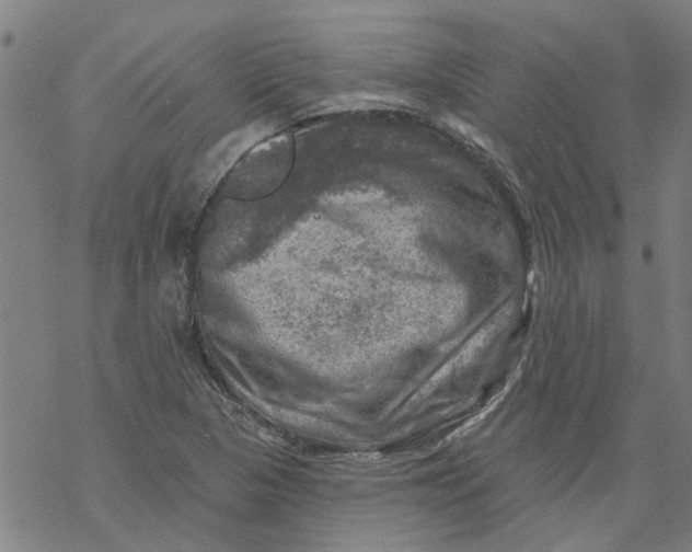 X0000068891313200605261836