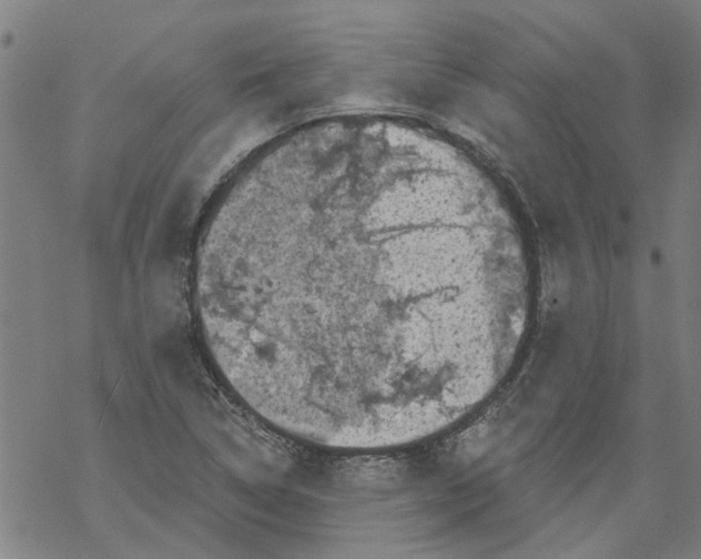 X0000068891314200605261836