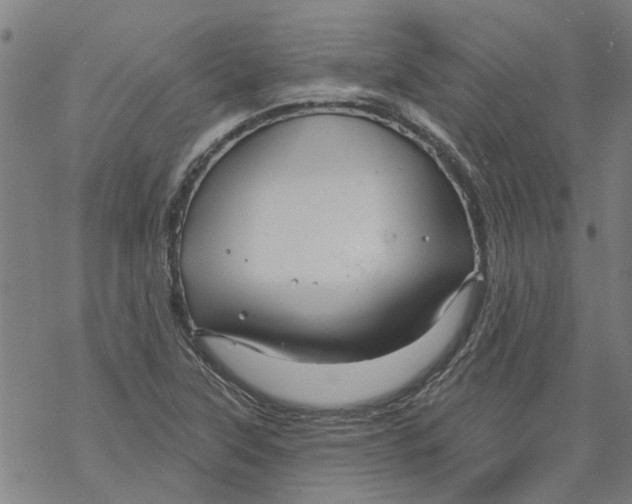 X0000068891315200605261836