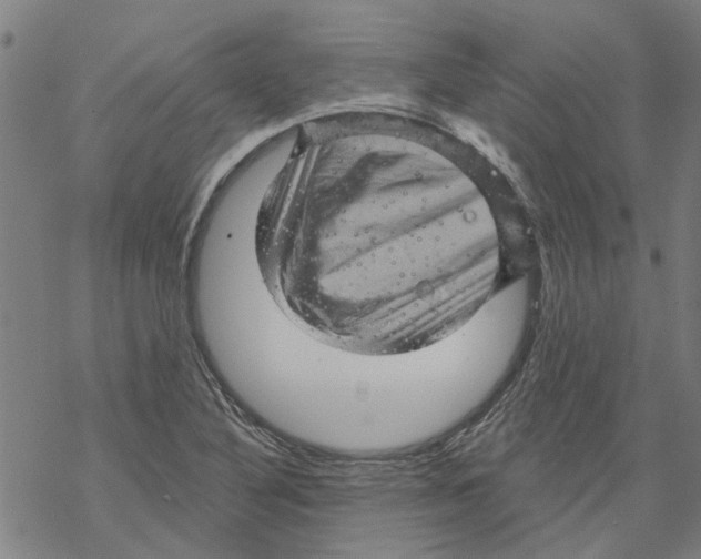 X0000068891316200605261836