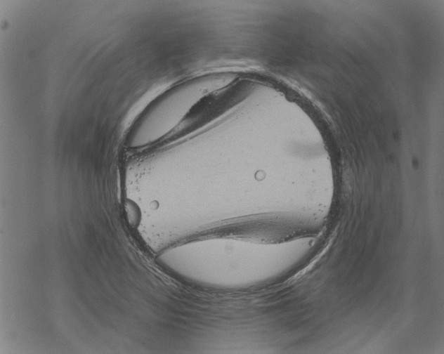 X0000068891317200605261836