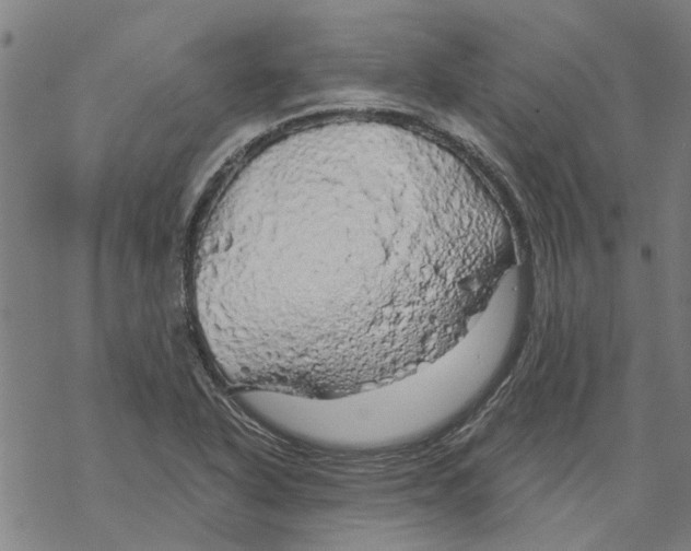 X0000068891318200605261836