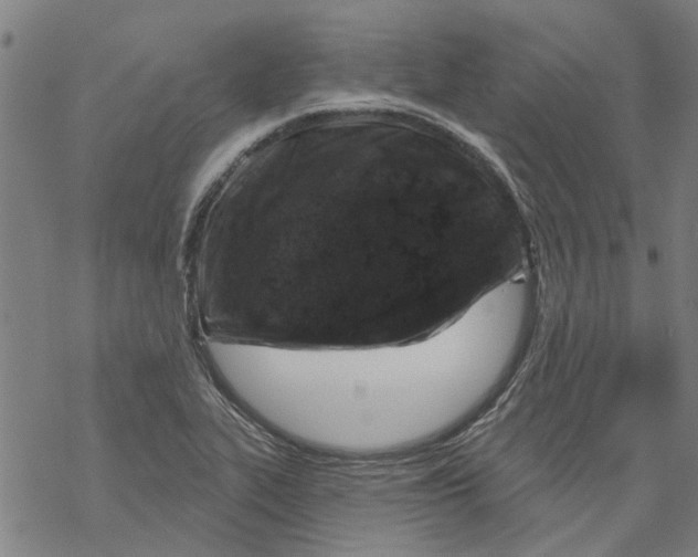 X0000068891319200605261836