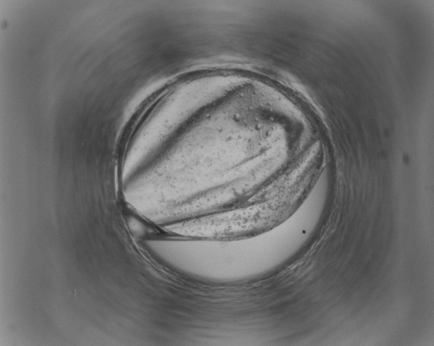 X0000068891320200605261836