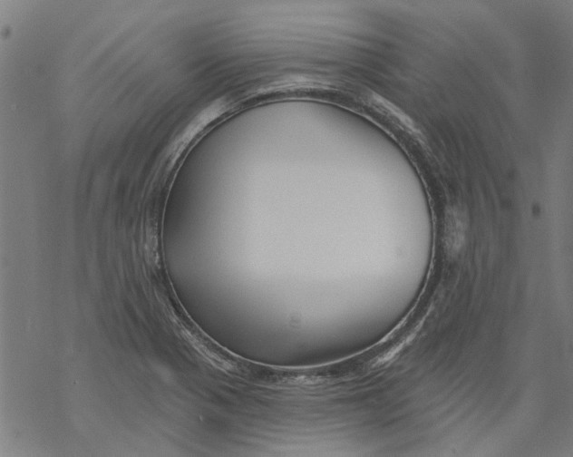 X0000068891321200605261836