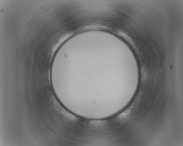 X0000068891322200605261836