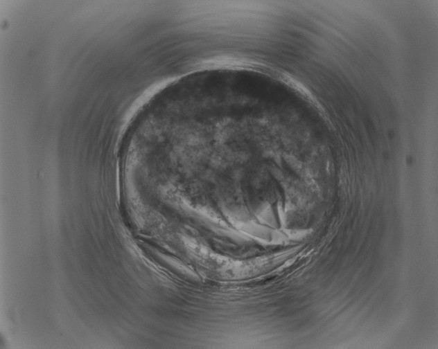 X0000068891323200605261836