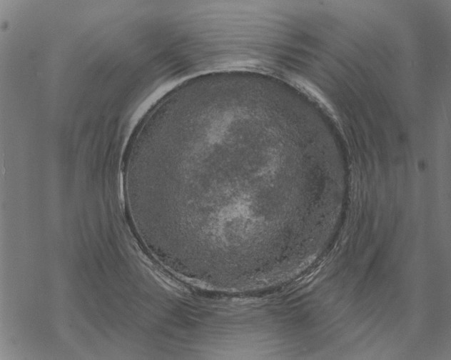 X0000068891324200605261836