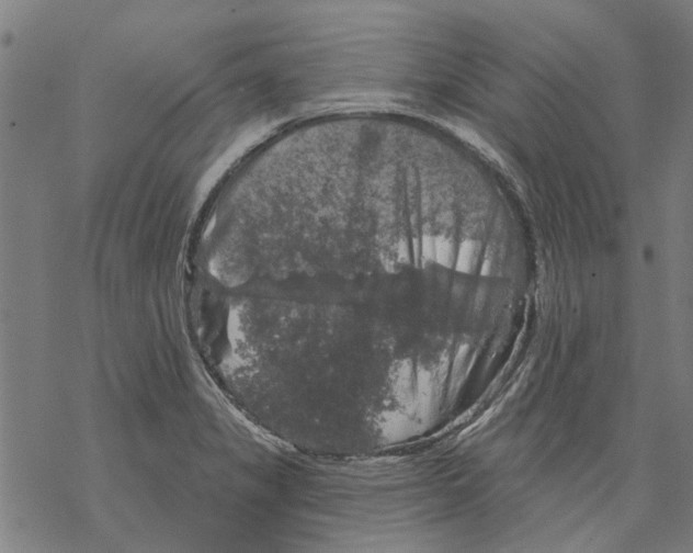 X0000068891325200605261836