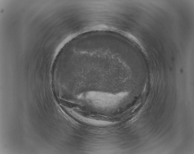 X0000068891326200605261836