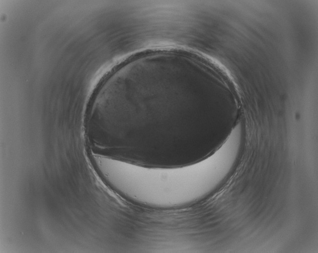 X0000068891327200605261836