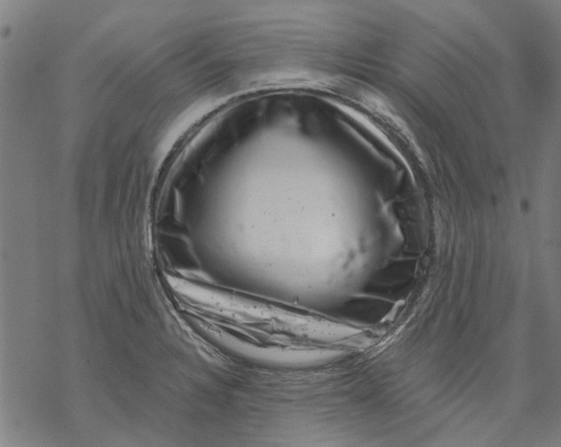 X0000068891328200605261836