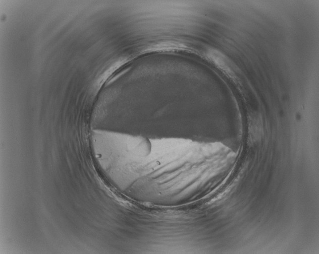 X0000068891329200605261836