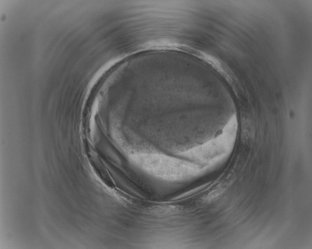 X0000068891331200605261836