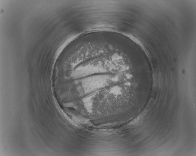 X0000068891333200605261836