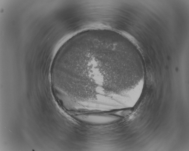 X0000068891335200605261836