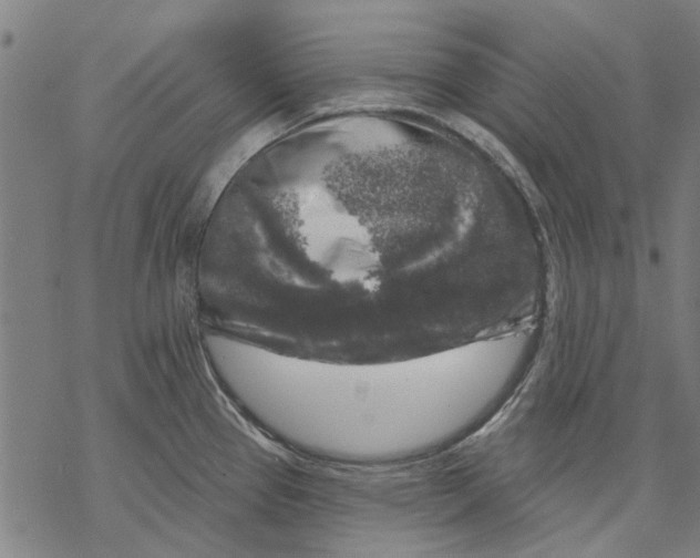 X0000068891337200605261836