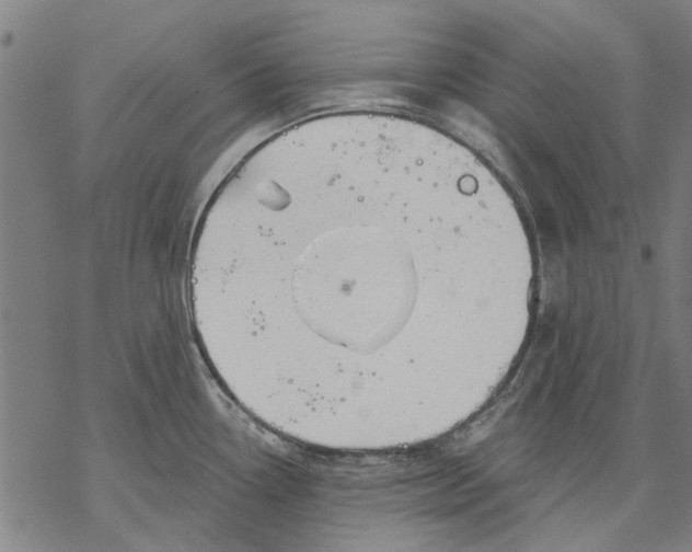 X0000068891338200605261836