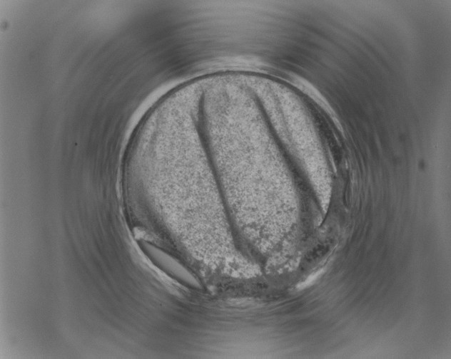 X0000068891339200605261836