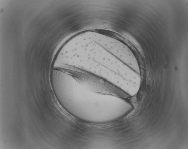 X0000068891340200605261836