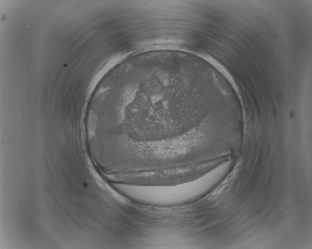 X0000068891341200605261836