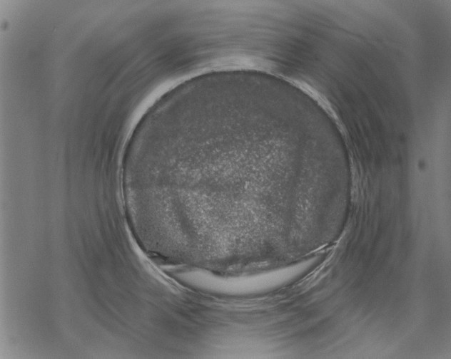 X0000068891342200605261836