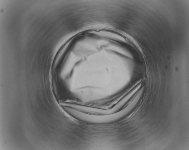 X0000068891343200605261836