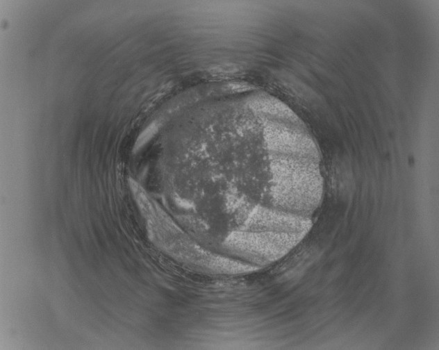 X0000068891346200605261835