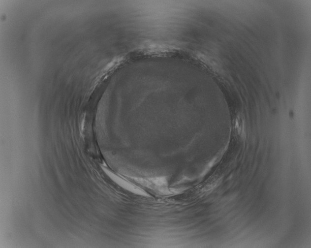 X0000068891348200605261835