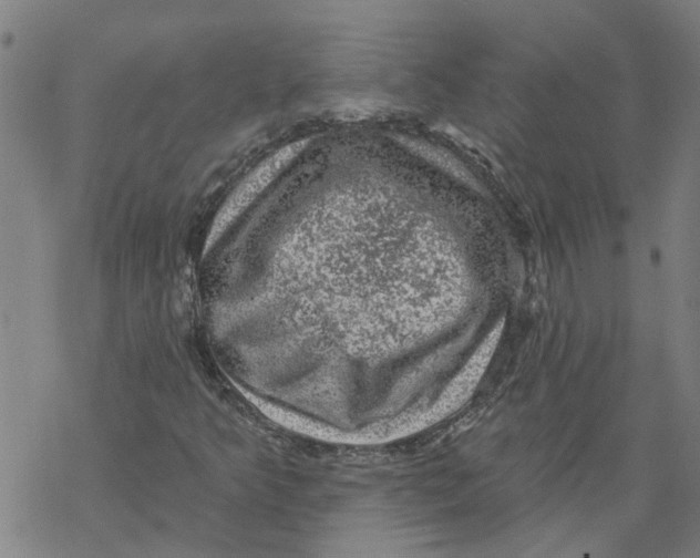 X0000068891349200605261835