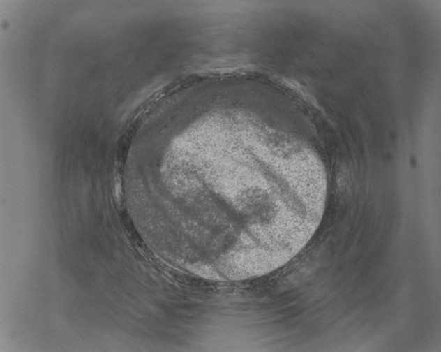 X0000068891350200605261835