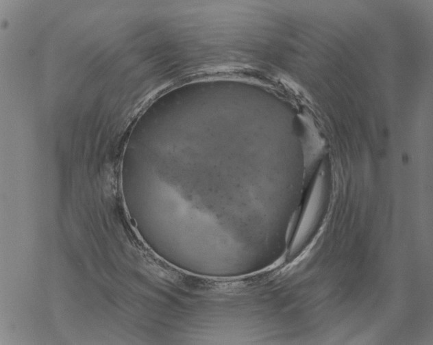 X0000068891353200605261835