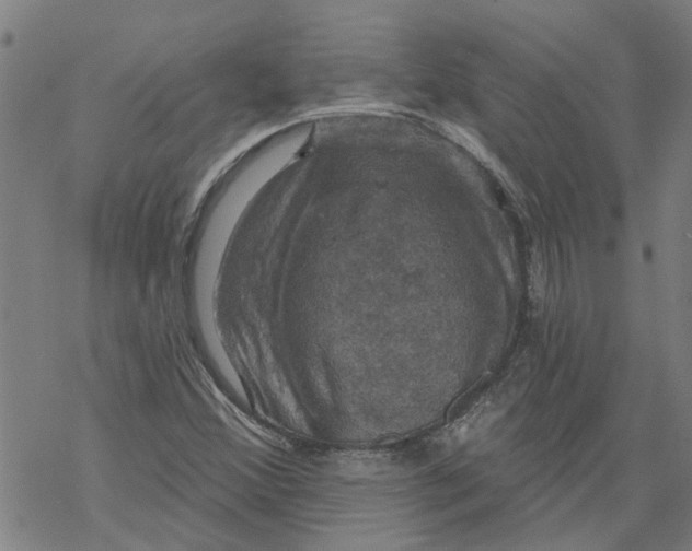 X0000068891356200605261835