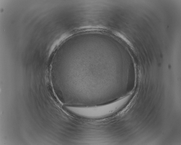 X0000068891357200605261835