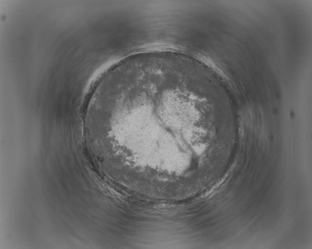 X0000068891358200605261835